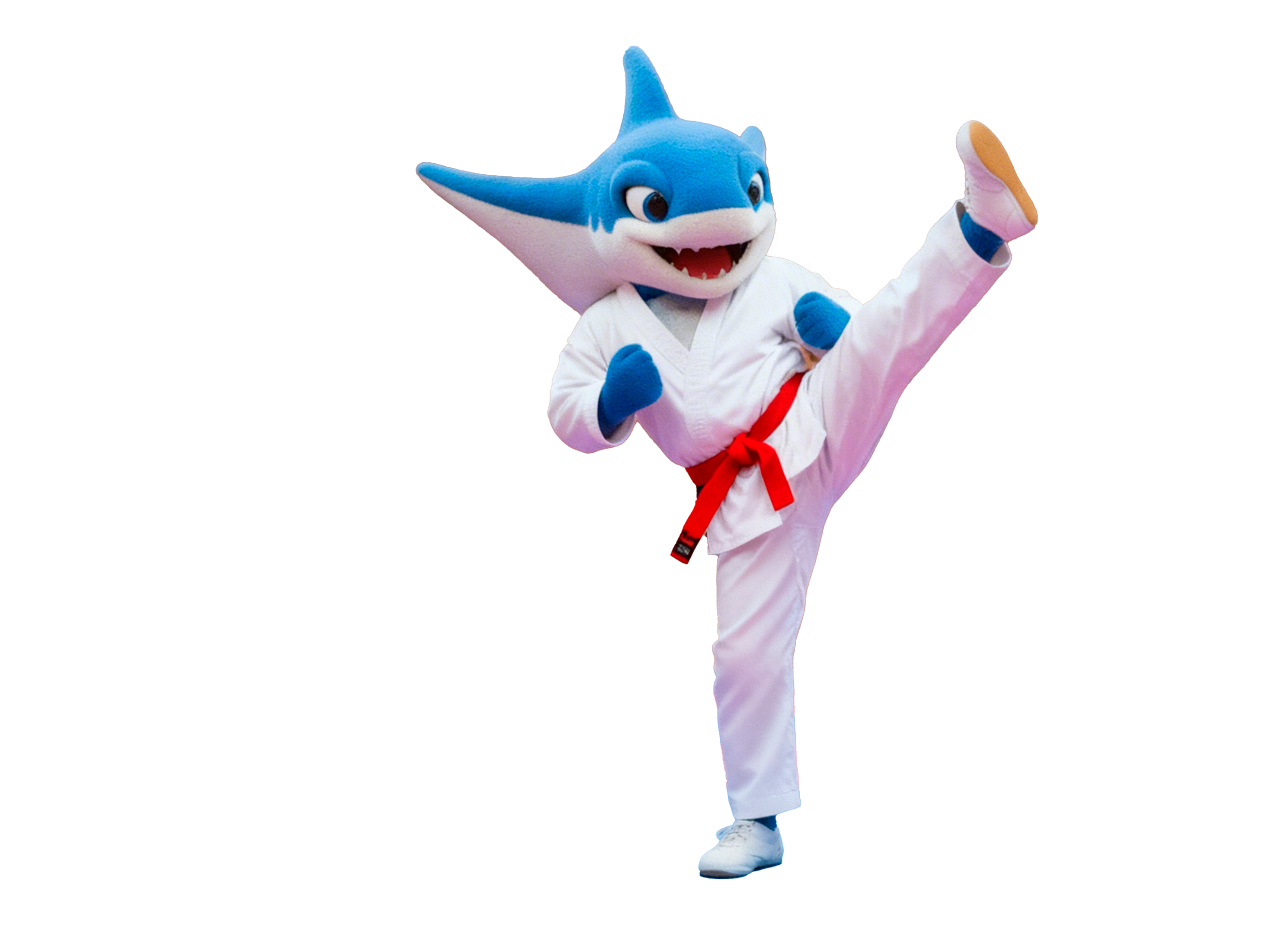 Taekwondo