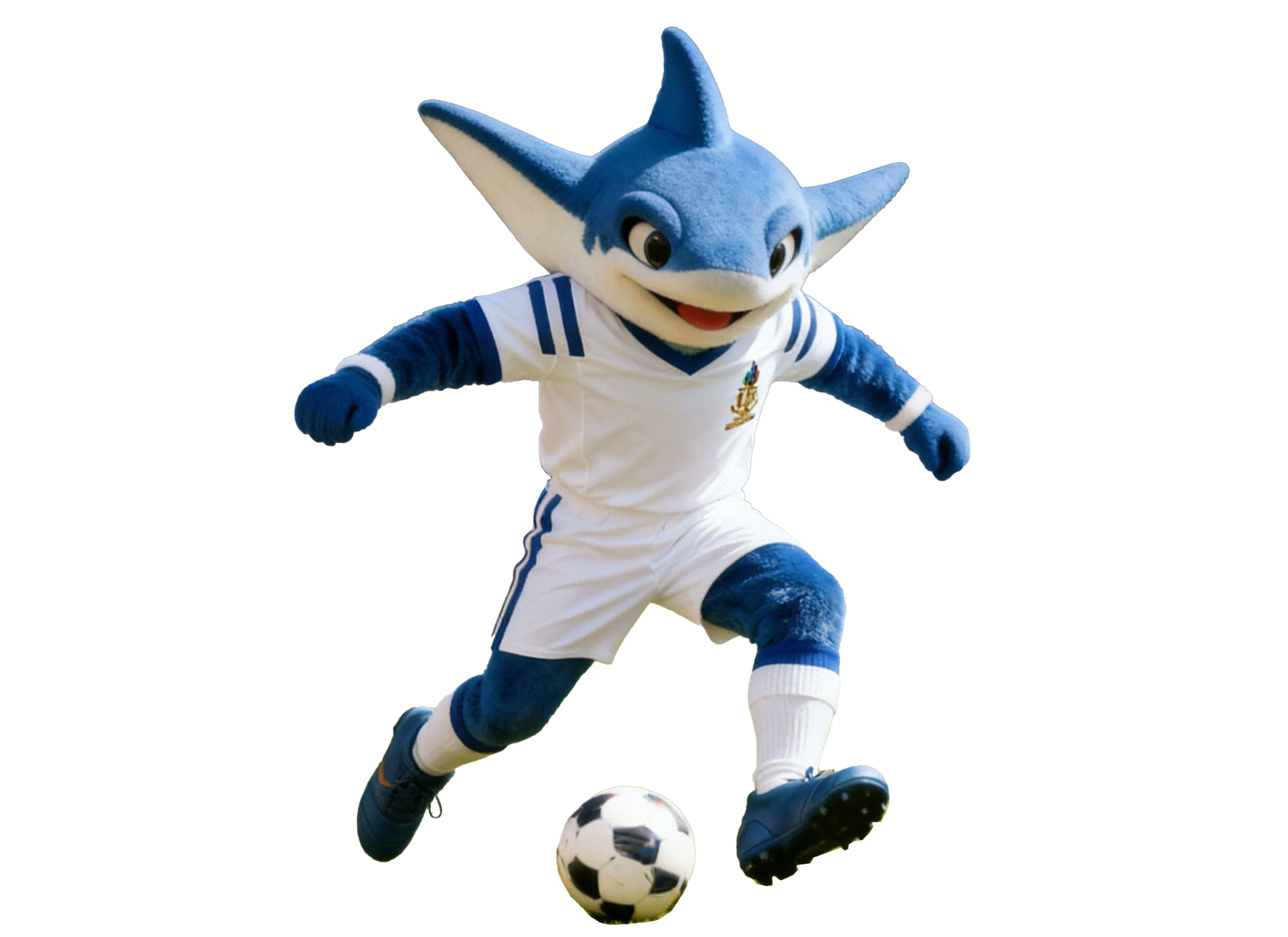 F&uacute;tbol