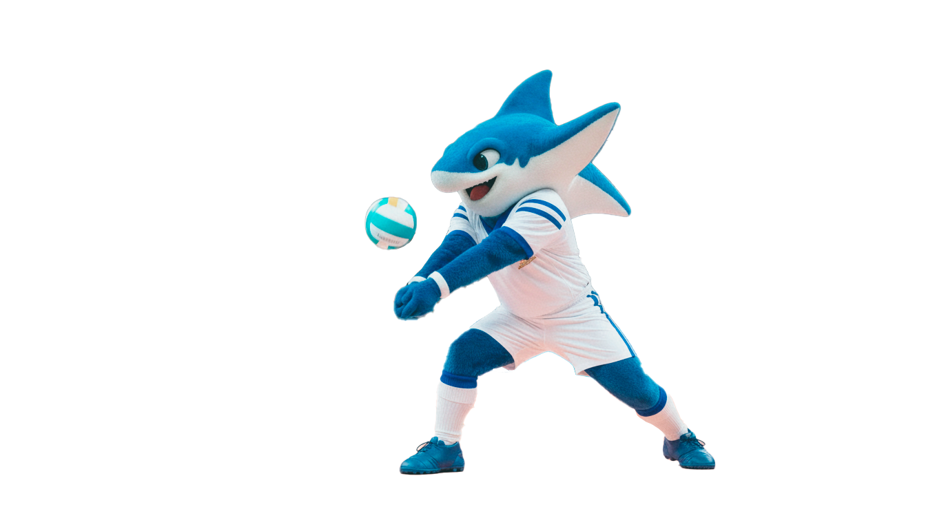 Voleibol